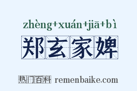 郑玄家婢是什么意思的图片